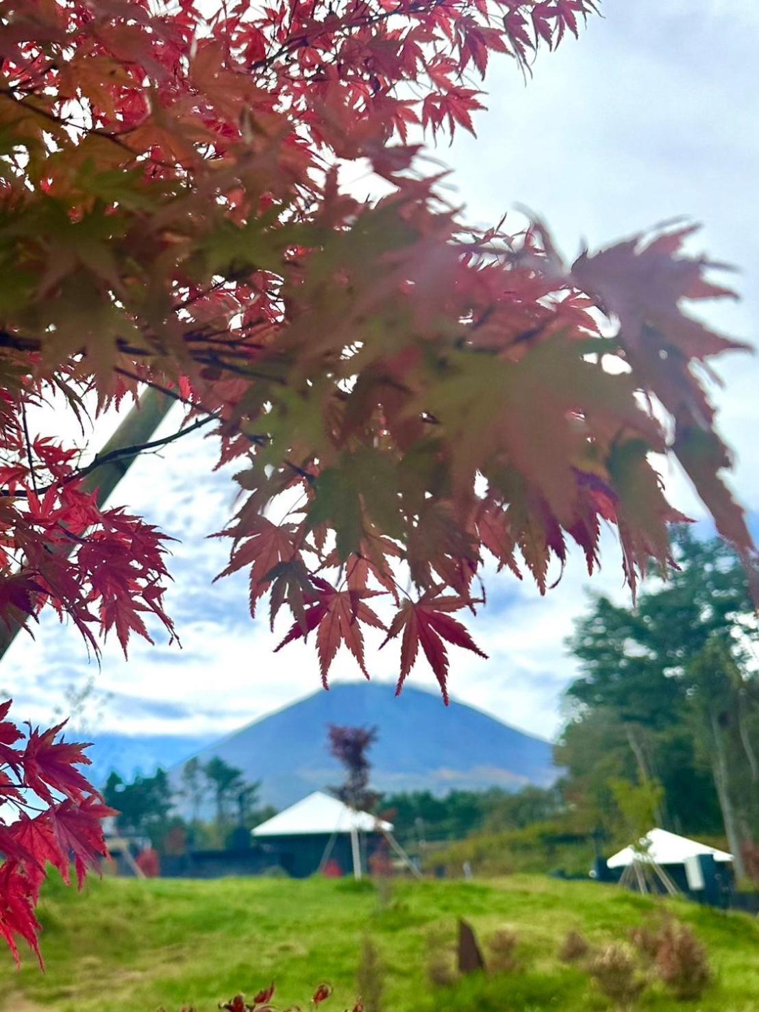 Отель The Sense Fuji Narusawa Экстерьер фото